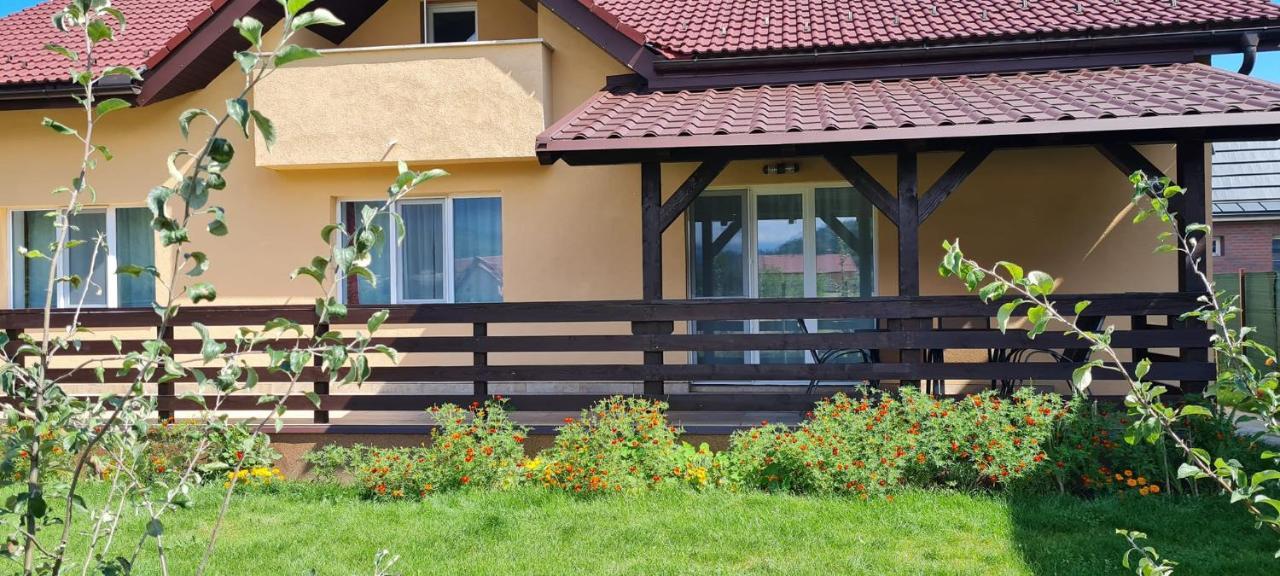 Carpen View Residence Sacele Bagian luar foto