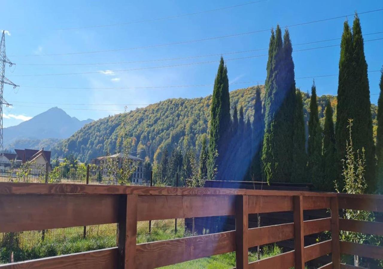 Carpen View Residence Sacele Bagian luar foto