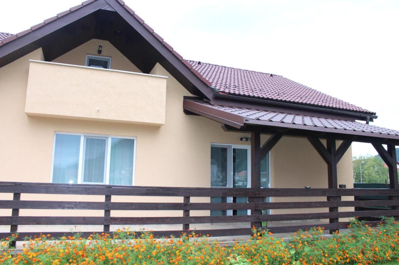 Carpen View Residence Sacele Bagian luar foto